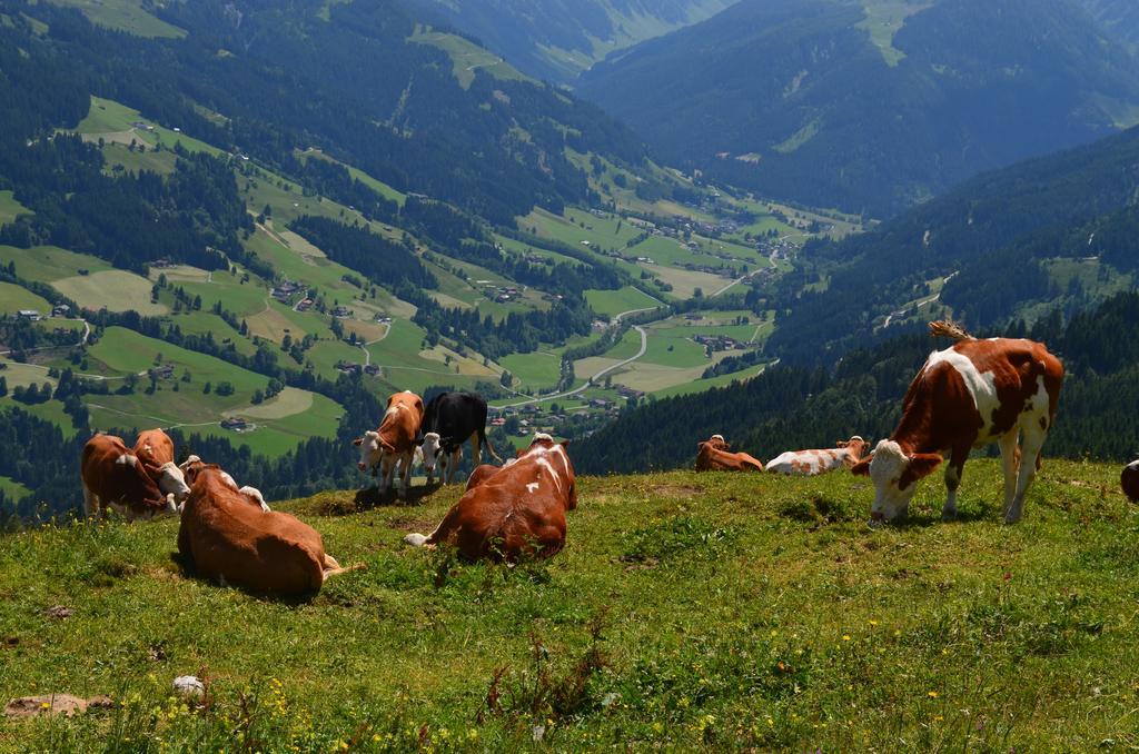 Haus Brügglbach Apartamento Kirchberg in Tirol Exterior foto